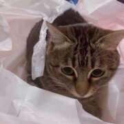 ヒメ日記 2025/10/09 21:17 投稿 くるみ 夢の国デリランド