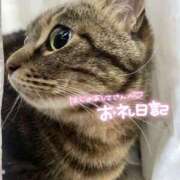 ヒメ日記 2025/11/24 14:19 投稿 くるみ 夢の国デリランド