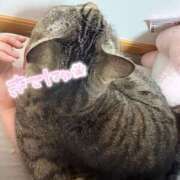 ヒメ日記 2026/03/05 21:28 投稿 くるみ 夢の国デリランド