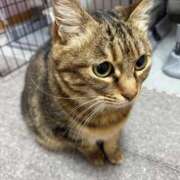 ヒメ日記 2026/04/13 22:04 投稿 くるみ 夢の国デリランド