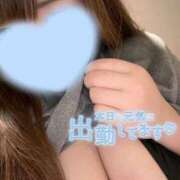 ヒメ日記 2026/04/29 15:10 投稿 くるみ 夢の国デリランド