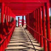 ヒメ日記 2025/09/11 00:03 投稿 このは おいしい奥様