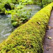 ヒメ日記 2025/09/23 00:02 投稿 このは おいしい奥様