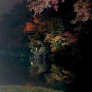 ヒメ日記 2025/10/21 06:37 投稿 このは おいしい奥様