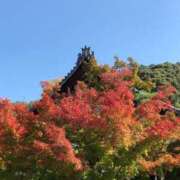 ヒメ日記 2025/10/29 06:32 投稿 このは おいしい奥様