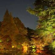 ヒメ日記 2025/11/07 06:46 投稿 このは おいしい奥様