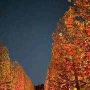 ヒメ日記 2025/11/18 06:53 投稿 このは おいしい奥様