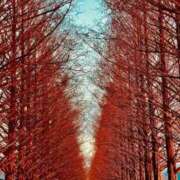 ヒメ日記 2025/11/30 06:47 投稿 このは おいしい奥様