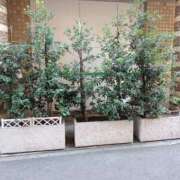 ヒメ日記 2025/08/31 13:49 投稿 ひな おいしい奥様