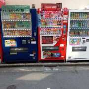 ヒメ日記 2025/09/07 13:51 投稿 ひな おいしい奥様