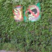 ヒメ日記 2025/09/24 13:43 投稿 ひな おいしい奥様