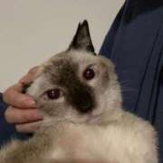 ヒメ日記 2025/03/11 06:04 投稿 ありさ 北九州人妻倶楽部（三十路、四十路、五十路）