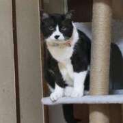 ヒメ日記 2025/05/06 21:42 投稿 ありさ 北九州人妻倶楽部（三十路、四十路、五十路）