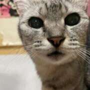 ヒメ日記 2025/05/19 01:29 投稿 ありさ 北九州人妻倶楽部（三十路、四十路、五十路）