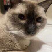 ヒメ日記 2025/06/25 21:29 投稿 ありさ 北九州人妻倶楽部（三十路、四十路、五十路）