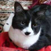 ヒメ日記 2025/07/01 20:29 投稿 ありさ 北九州人妻倶楽部（三十路、四十路、五十路）