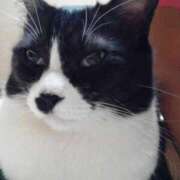 ありさ 出勤🥰 北九州人妻倶楽部（三十路、四十路、五十路）