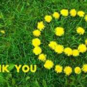 ヒメ日記 2025/03/31 20:30 投稿 よう 奥様の実話 なんば店