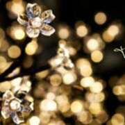 ヒメ日記 2025/04/30 20:15 投稿 よう 奥様の実話 なんば店