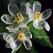 ヒメ日記 2025/05/31 19:45 投稿 よう 奥様の実話 なんば店