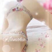 ヒメ日記 2026/01/28 20:21 投稿 ナノハ AMOUR（アムール）