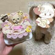 ヒメ日記 2026/04/03 15:18 投稿 ナノハ AMOUR（アムール）