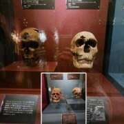 ヒメ日記 2025/07/25 07:28 投稿 うの 性腺熟女100％（デリヘル市場）