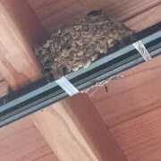 ヒメ日記 2025/07/26 08:57 投稿 うの 性腺熟女100％（デリヘル市場）