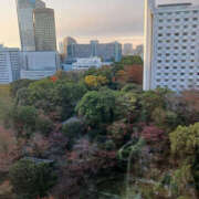 ヒメ日記 2025/11/26 07:48 投稿 うの 性腺熟女100％（デリヘル市場）