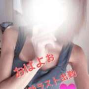 ヒメ日記 2026/08/09 09:30 投稿 心愛(ここあ) BAD COMPANY（バッドカンパニー）