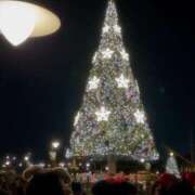 ヒメ日記 2024/12/17 19:35 投稿 えいみ 東京リップ 渋谷店