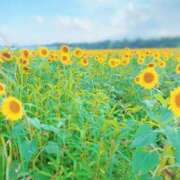 ヒメ日記 2025/07/31 18:17 投稿 えいみ 東京リップ 渋谷店