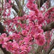 ヒメ日記 2025/04/29 15:55 投稿 えいこ[埼玉] 奥様鉄道69 東京店