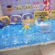 えいこ[埼玉] 好きなこと 奥様鉄道69 東京店