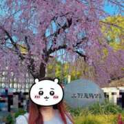 ヒメ日記 2025/04/02 12:14 投稿 ののか 俺のKissリフレ