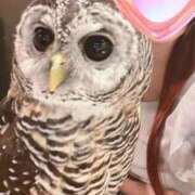 ヒメ日記 2025/10/02 13:08 投稿 ののか 俺のKissリフレ