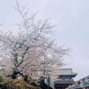 ヒメ日記 2026/04/06 23:38 投稿 ののか 俺のKissリフレ