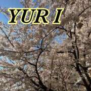 ヒメ日記 2026/04/03 15:26 投稿 百合 アロマ新横浜