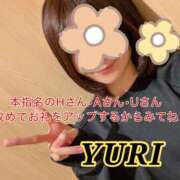 ヒメ日記 2026/10/23 01:14 投稿 百合 アロマ新横浜