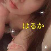 ヒメ日記 2024/12/27 14:08 投稿 はるか 出会い系人妻ネットワーク さいたま～大宮編