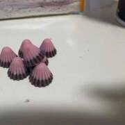 ヒメ日記 2026/01/10 04:50 投稿 れおな 奥様特急新潟店