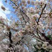 ヒメ日記 2025/04/08 17:32 投稿 すずか スピードエコ難波店