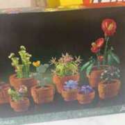 ヒメ日記 2025/05/15 16:12 投稿 すずか スピードエコ難波店