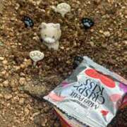 ヒメ日記 2025/08/19 14:52 投稿 すずか スピードエコ難波店