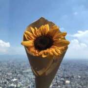 ヒメ日記 2025/08/24 14:02 投稿 すずか スピードエコ難波店