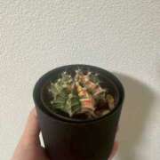 ヒメ日記 2025/11/04 10:02 投稿 すずか スピードエコ難波店