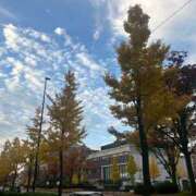 ヒメ日記 2025/11/14 17:12 投稿 すずか スピードエコ難波店