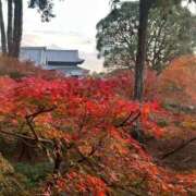 ヒメ日記 2025/12/04 18:52 投稿 すずか スピードエコ難波店