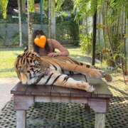 ヒメ日記 2026/02/13 15:45 投稿 すずか スピードエコ難波店