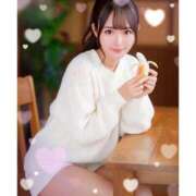 ヒメ日記 2025/04/20 08:14 投稿 かりん シャングリラ